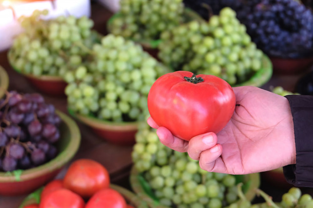 Blog-winfatt-produttori-agricoli-esonerati-da-scontrino-fiscale-e-corrispettivi-telematici